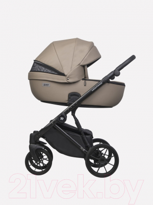 Детская универсальная коляска Riko Montana Ecco 2 в 1