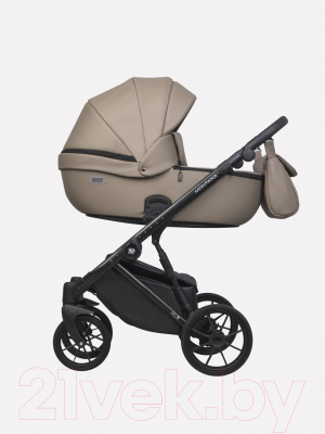 Детская универсальная коляска Riko Montana Ecco 2 в 1