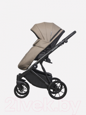 Детская универсальная коляска Riko Montana Ecco 2 в 1