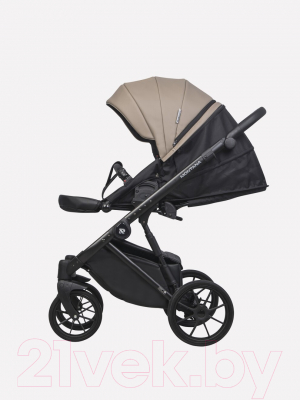 Детская универсальная коляска Riko Montana Ecco 2 в 1