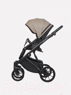 Детская универсальная коляска Riko Montana Ecco 2 в 1