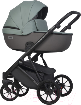 Детская универсальная коляска Riko Montana Ecco 2 в 1 - фото