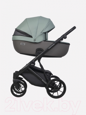 Детская универсальная коляска Riko Montana Ecco 2 в 1