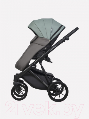 Детская универсальная коляска Riko Montana Ecco 2 в 1