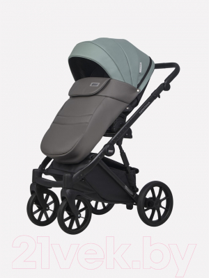 Детская универсальная коляска Riko Montana Ecco 2 в 1