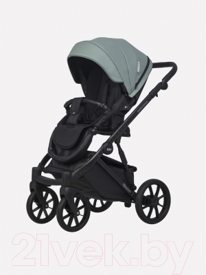 Детская универсальная коляска Riko Montana Ecco 2 в 1