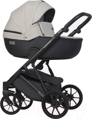 Детская универсальная коляска Riko Montana Ecco 2 в 1  - фото