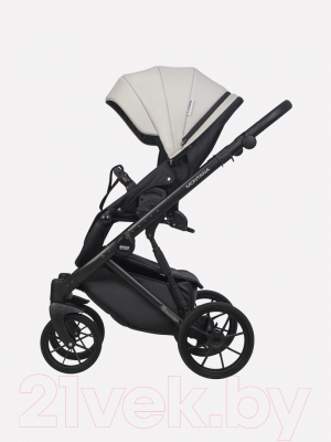 Детская универсальная коляска Riko Montana Ecco 2 в 1 