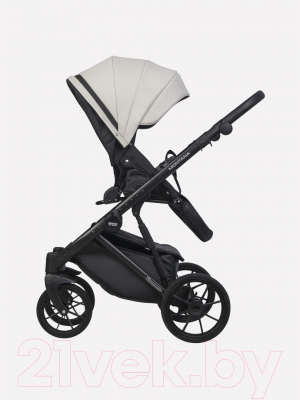 Детская универсальная коляска Riko Montana Ecco 2 в 1 