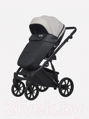 Детская универсальная коляска Riko Montana Ecco 2 в 1 