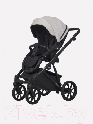Детская универсальная коляска Riko Montana Ecco 2 в 1 