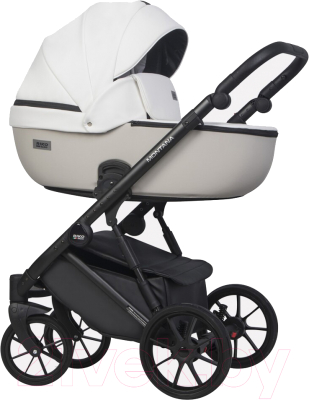 Детская универсальная коляска Riko Montana Ecco 2 в 1 - фото