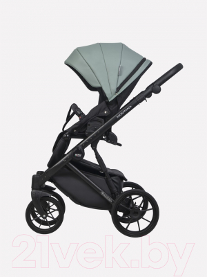Детская универсальная коляска Riko Montana Ecco 3 в 1 
