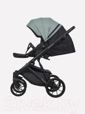 Детская универсальная коляска Riko Montana Ecco 3 в 1 
