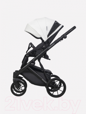 Детская универсальная коляска Riko Montana Ecco 3 в 1 
