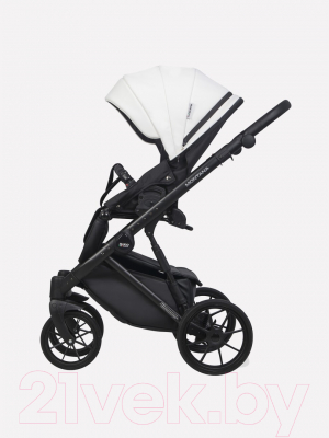 Детская универсальная коляска Riko Montana Ecco 3 в 1 