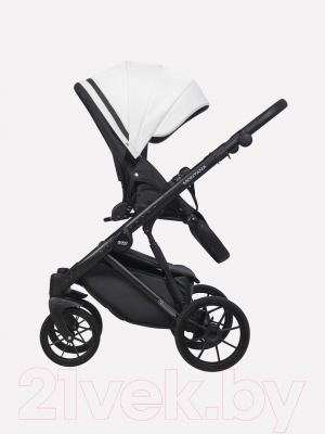 Детская универсальная коляска Riko Montana Ecco 3 в 1 