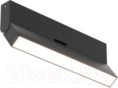 Потолочный светильник Maytoni Ceiling C133CL-12W4K-B - фото