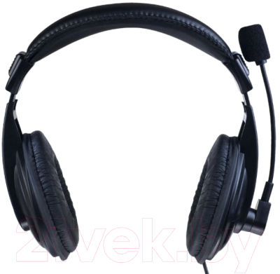 Наушники-гарнитура Perfeo USB / PF_A4405