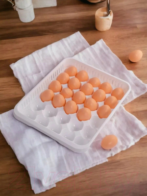 Контейнер Hobby Life Для хранения яиц HL021053