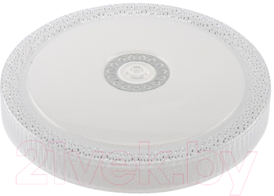 Потолочный светильник Rexant Aqua / 650-1019 - фото