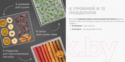 Сушильный шкаф для овощей и фруктов Redmond FD1105