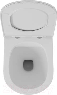 Унитаз подвесной D&K Venice DT1026016