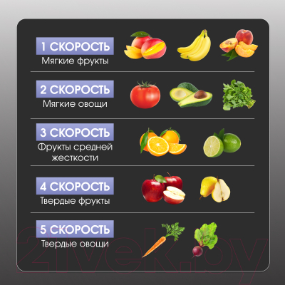 Соковыжималка электрическая Zigmund & Shtain EJ-755