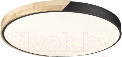 Потолочный светильник Velante 445-667-01 - фото