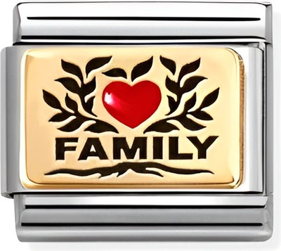 Звено для браслета NominatioN Family с красным сердцем 030289/07 - фото