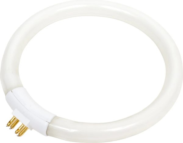 Лампа для лупы Rexant 31-0808