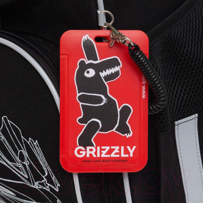 Школьный рюкзак Grizzly RAm-485-8