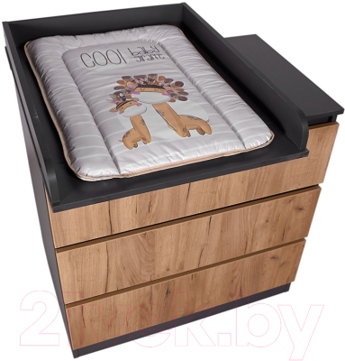 Рамка для пеленания Polini Kids Для комода Универсальная 600 / 0002764.168 