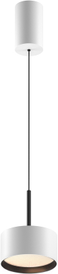 Потолочный светильник Maytoni Pendant P102PL-12W4K-W - фото