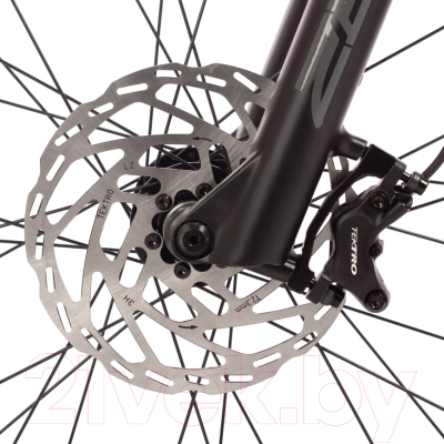 Велосипед Stinger Zeta Std / 29AHD.ZTSTD.XLGN4