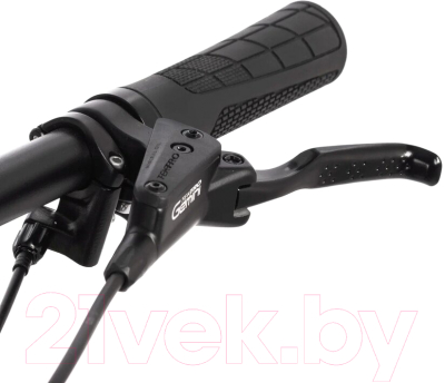 Велосипед Stinger Zeta Std / 29AHD.ZTSTD.XLGN4