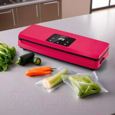 Вакуумный упаковщик Kitfort КТ-1542