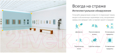 IP-камера TP-Link Vigi C420I