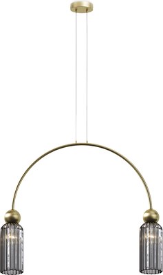 Потолочный светильник Maytoni Modern MOD302PL-02GR - фото