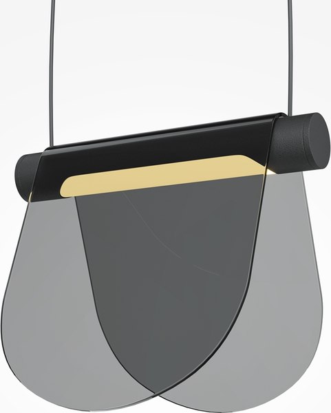 Потолочный светильник Maytoni Modern MOD319PL-L5B3K