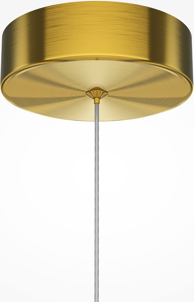 Потолочный светильник Maytoni Modern MOD299PL-L10BS3K