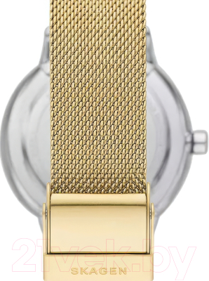 Часы наручные женские Skagen SKW3101