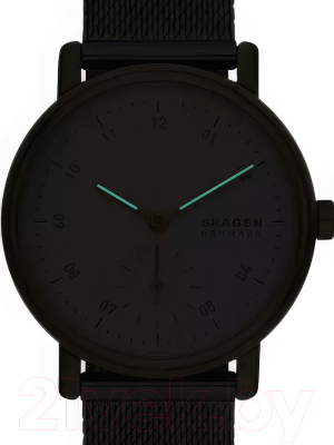 Часы наручные женские Skagen SKW3101