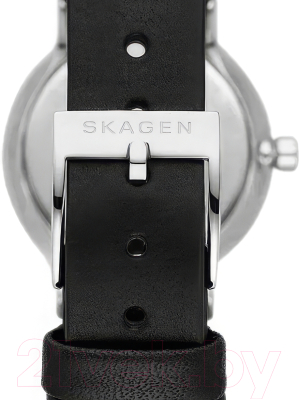 Часы наручные женские Skagen SKW3119