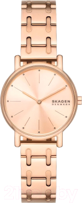 Часы наручные женские Skagen SKW3125 - фото