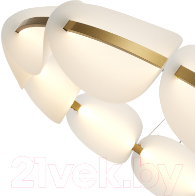 Люстра ST Luce SL1304.203.65