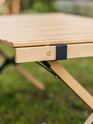 Комплект складной мебели National Tree Company Н120-HD