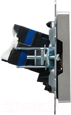 Розетка IEK Brite BR-K20-2-K47