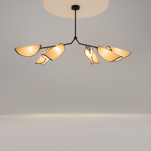 Потолочный светильник Maytoni Modern MOD225PL-06B