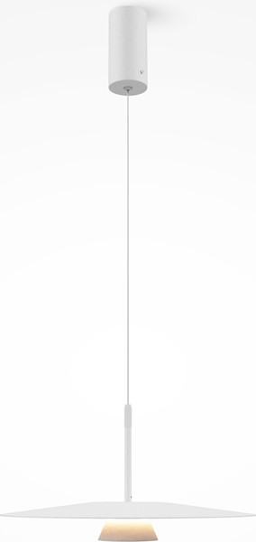 Потолочный светильник Maytoni Modern MOD352PL-L10W3K